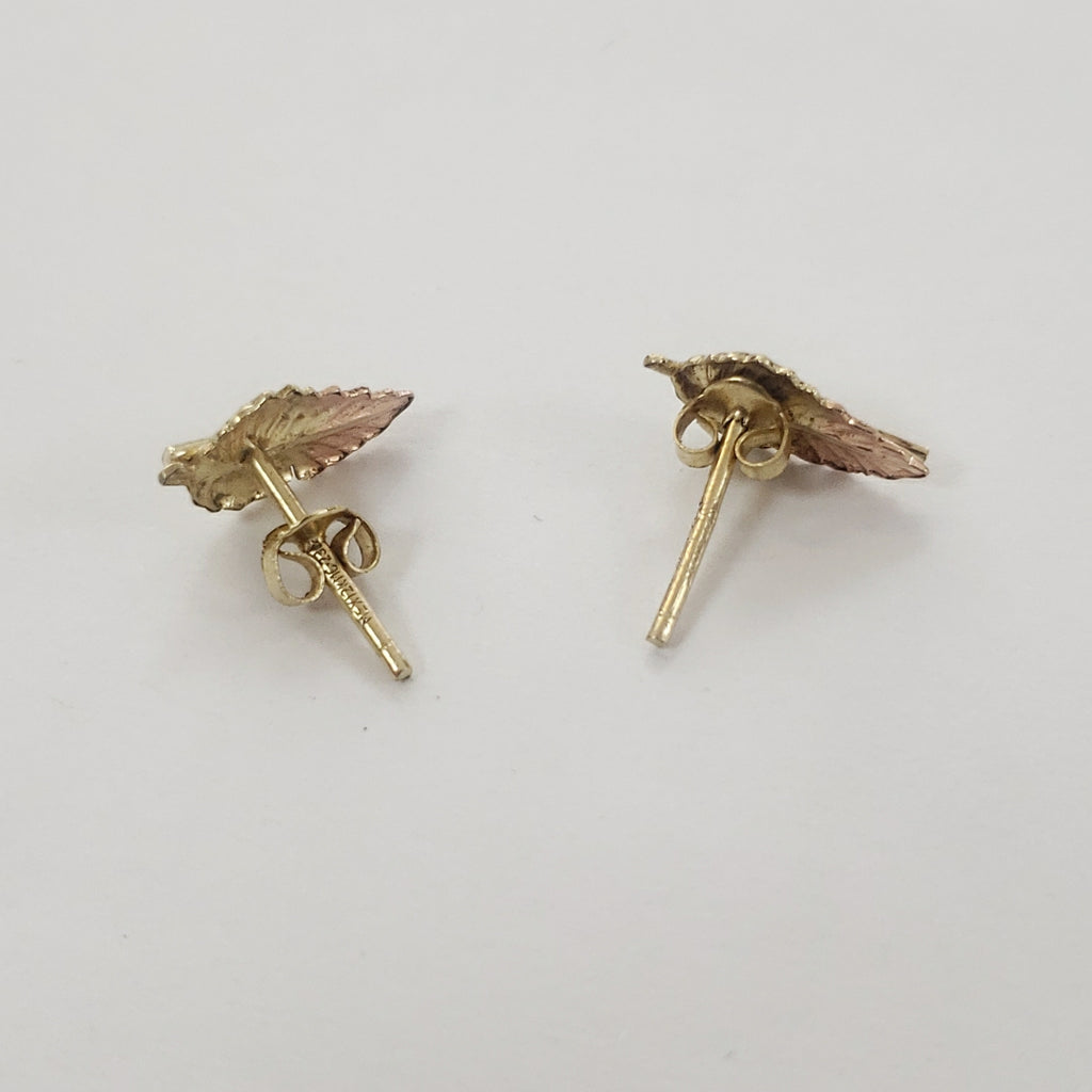 ARETES PAR ORO 10 K 0.9 GRMS (SEMINUEVO)