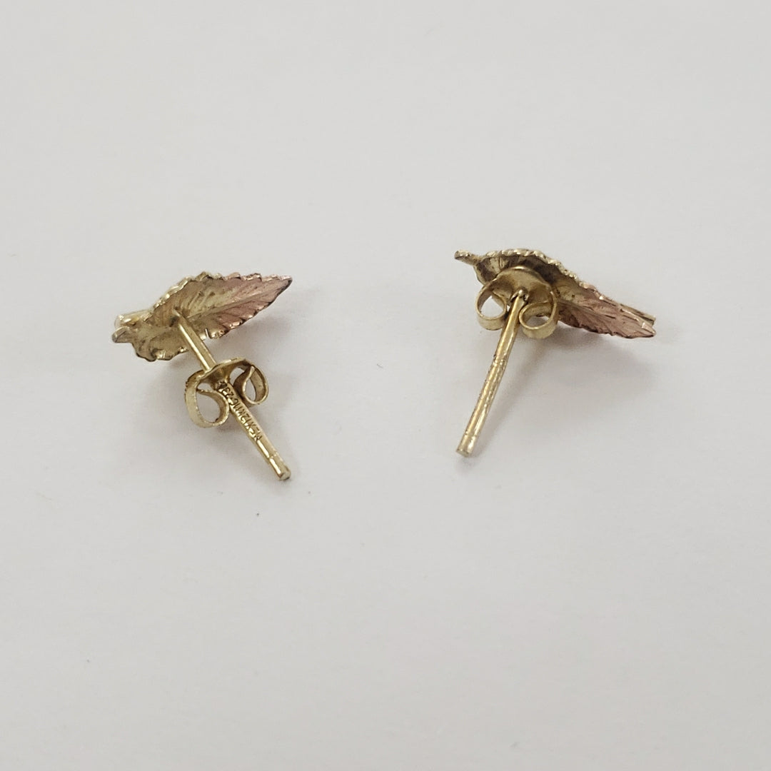 ARETES PAR ORO 10 K 0.9 GRMS (SEMINUEVO)