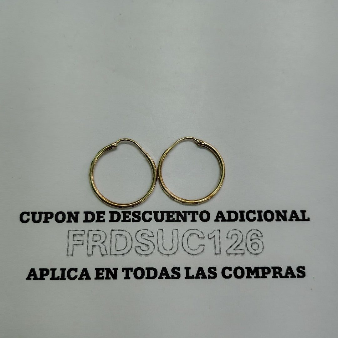 ARRACADAS PAR ORO 10 K 1 GRMS (SEMINUEVO)