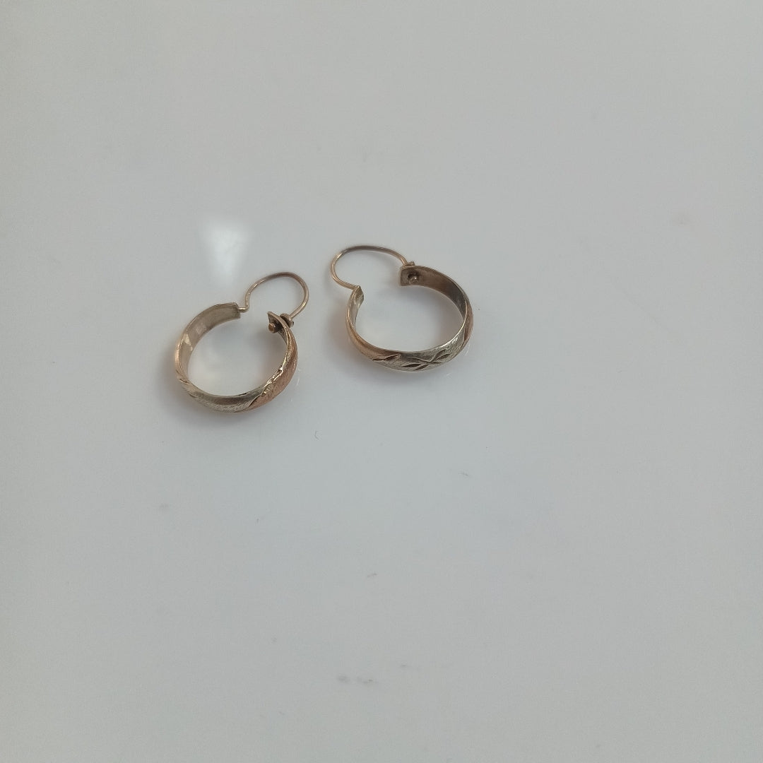 ARRACADAS PAR ORO 10 K 1.5 GRMS (SEMINUEVO)