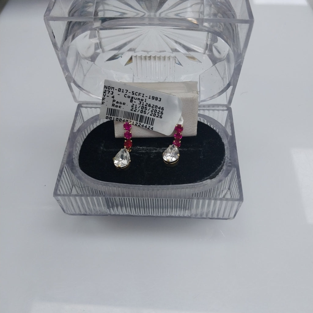 ARETES PAR ORO 10 K 2.1 GRMS (SEMINUEVO)
