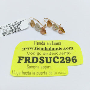 ARETES PAR ORO 14 K 1.2 GRMS (SEMINUEVO)