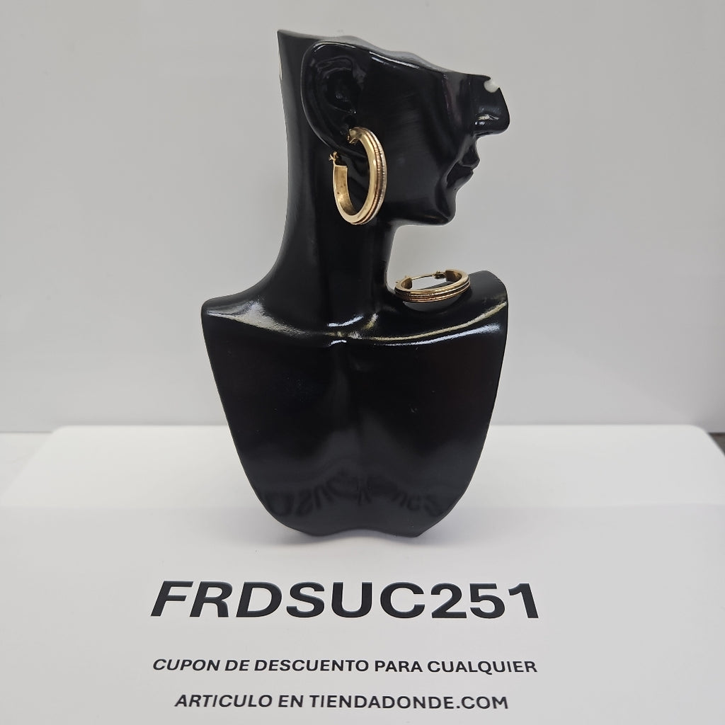 ARRACADAS PAR ORO 14 K 2 GRMS (SEMINUEVO)