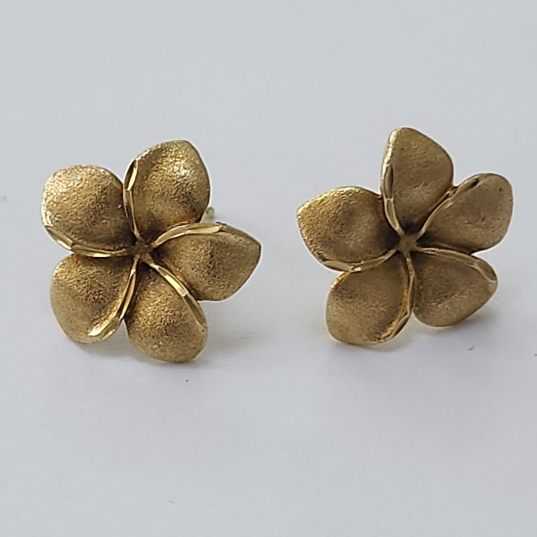 BROQUELES PAR ORO 14 K 3.1 GRMS (SEMINUEVO)