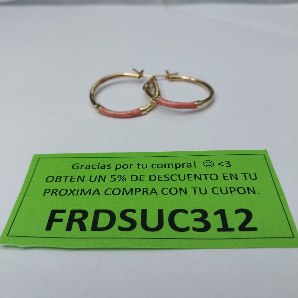ARRACADAS PAR ORO 10 K 2,90 GRMS (SEMINUEVO)