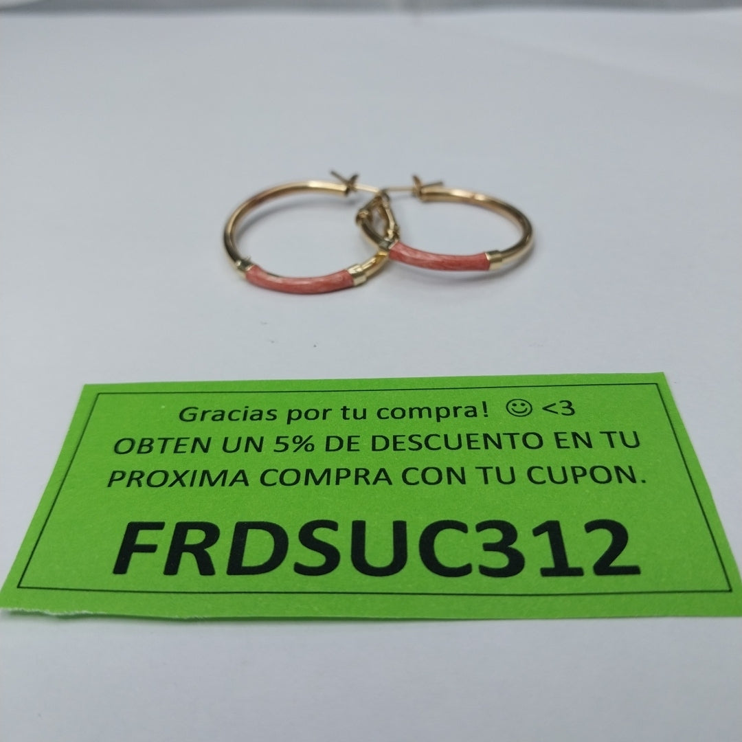 ARRACADAS PAR ORO 10 K 2,90 GRMS (SEMINUEVO)