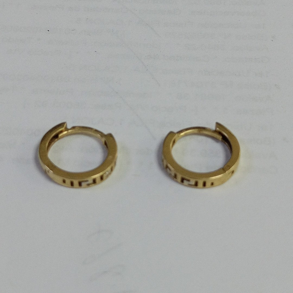 ARETES PAR ORO 10 K 2 GRMS (SEMINUEVO)