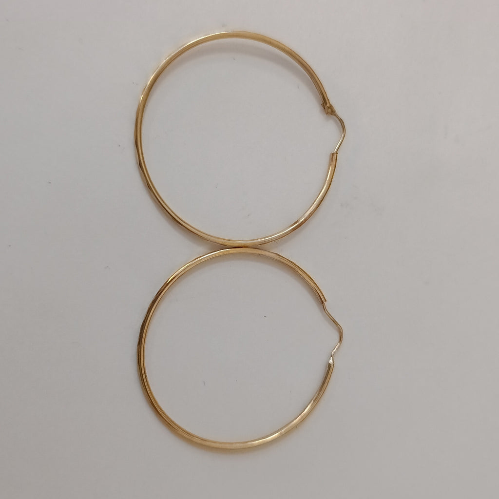 ARRACADAS PAR ORO 10 K 2.7 GRMS (SEMINUEVO)