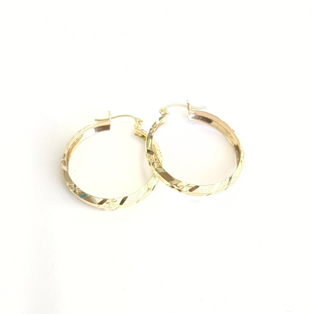 ARRACADAS PAR ORO 10 K 3,80 GRMS (SEMINUEVO)