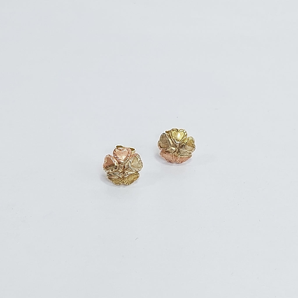 BROQUELES PAR ORO, ORO COMBINADO 10 K 0.9 GRMS (SEMINUEVO)