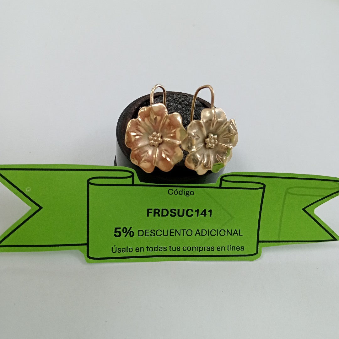 ARETES PAR ORO 10 K 2.2 GRMS (SEMINUEVO)