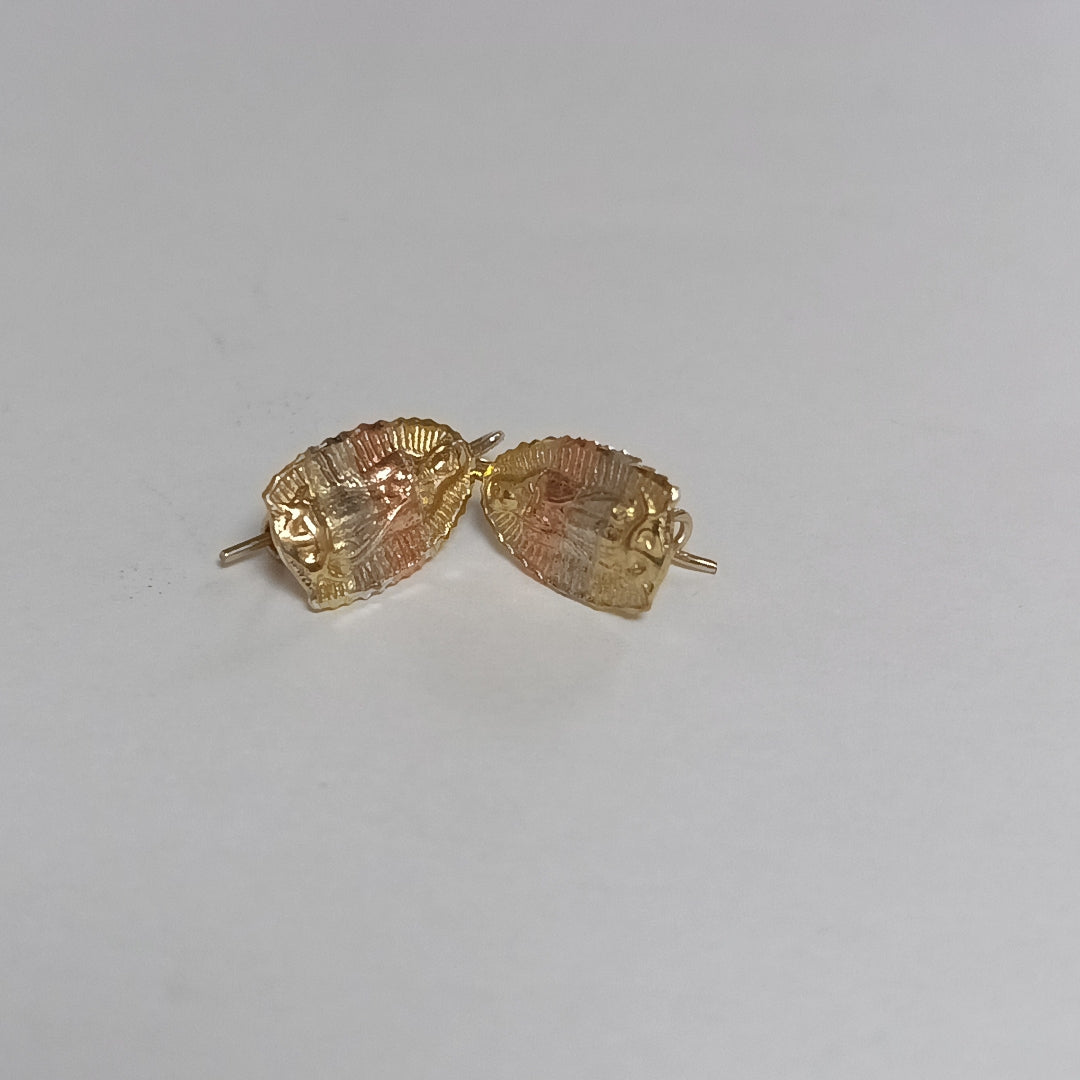 ARETES PAR ORO 10 K 1.9 GRMS (SEMINUEVO)