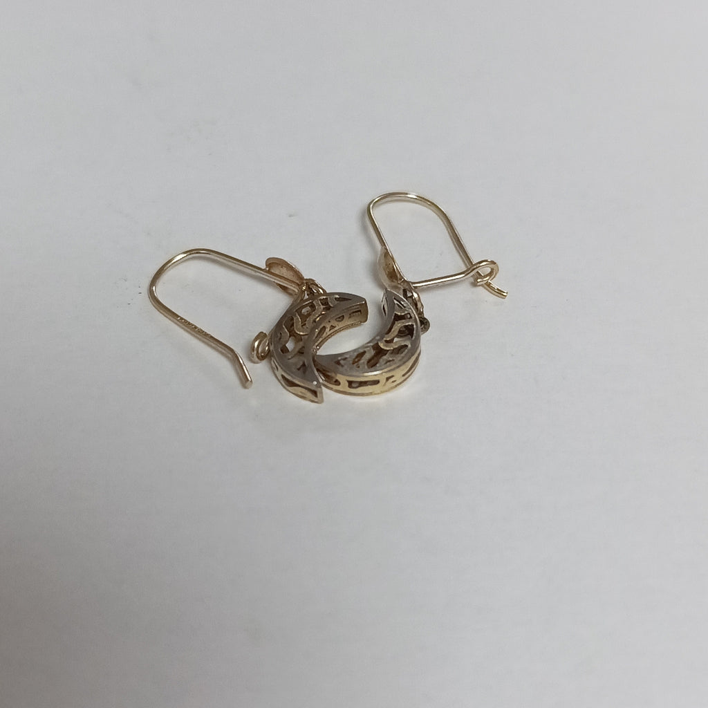 ARETES PAR ORO 10 K 1.2 GRMS (SEMINUEVO)