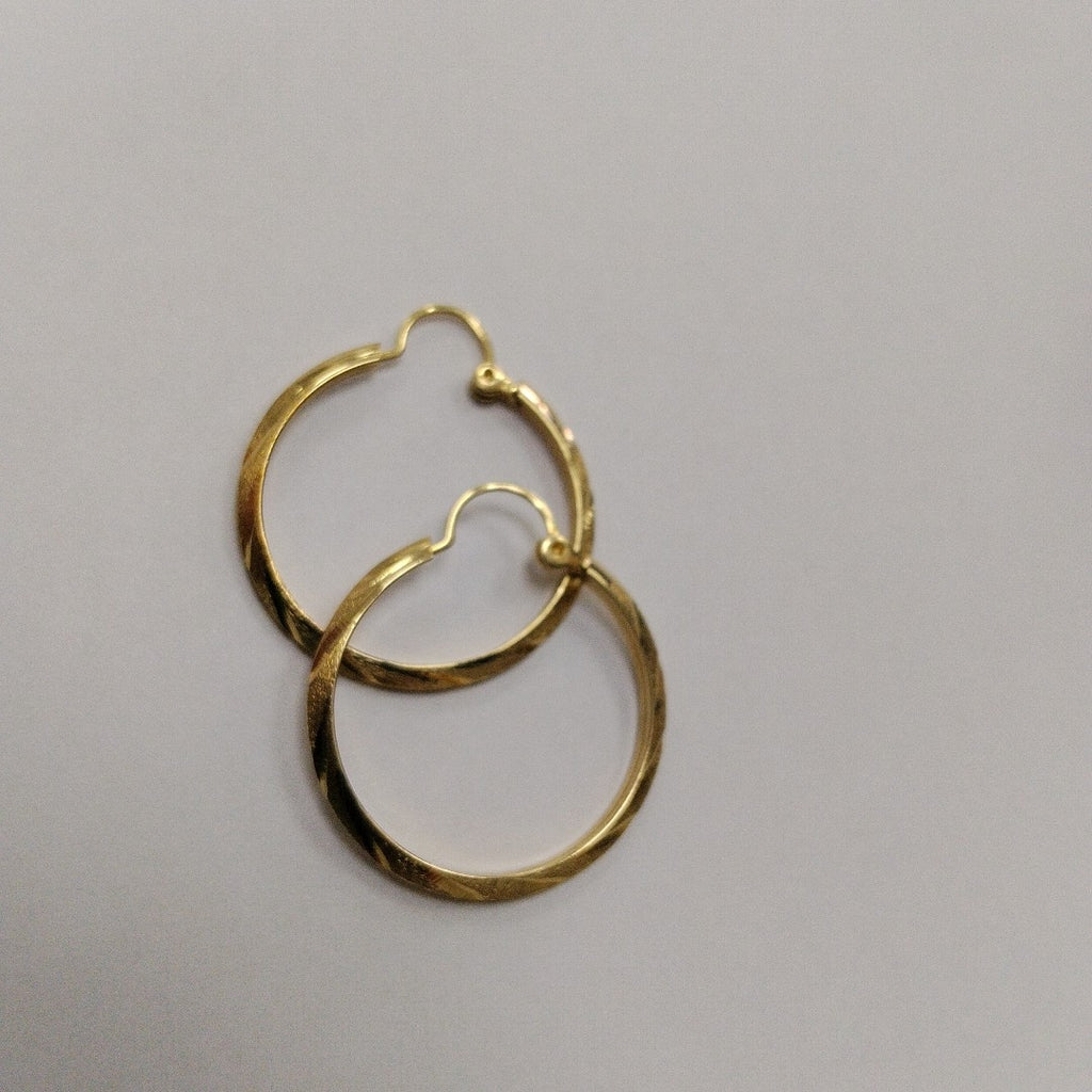 ARETES PAR ORO 10 K 1.9 GRMS (SEMINUEVO)