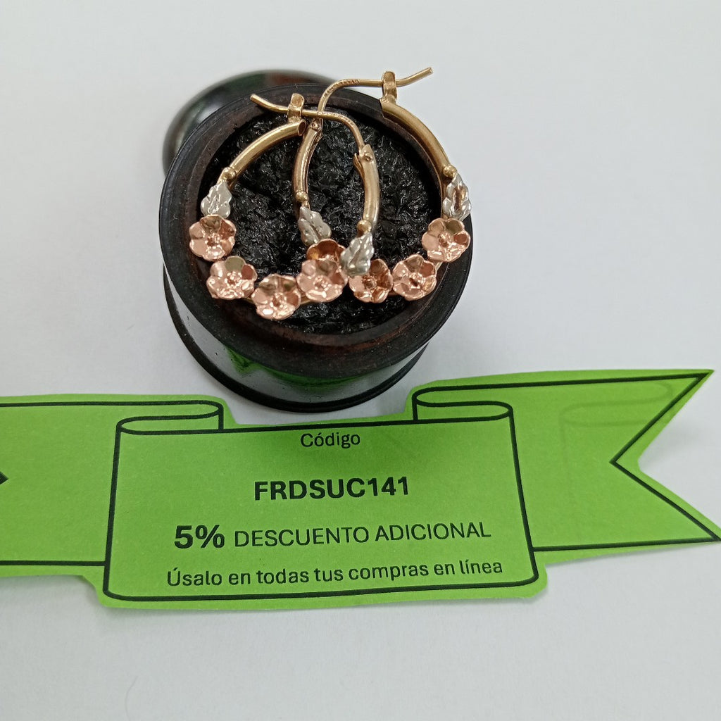ARRACADAS PAR ORO 10 K 3.1 GRMS (SEMINUEVO)