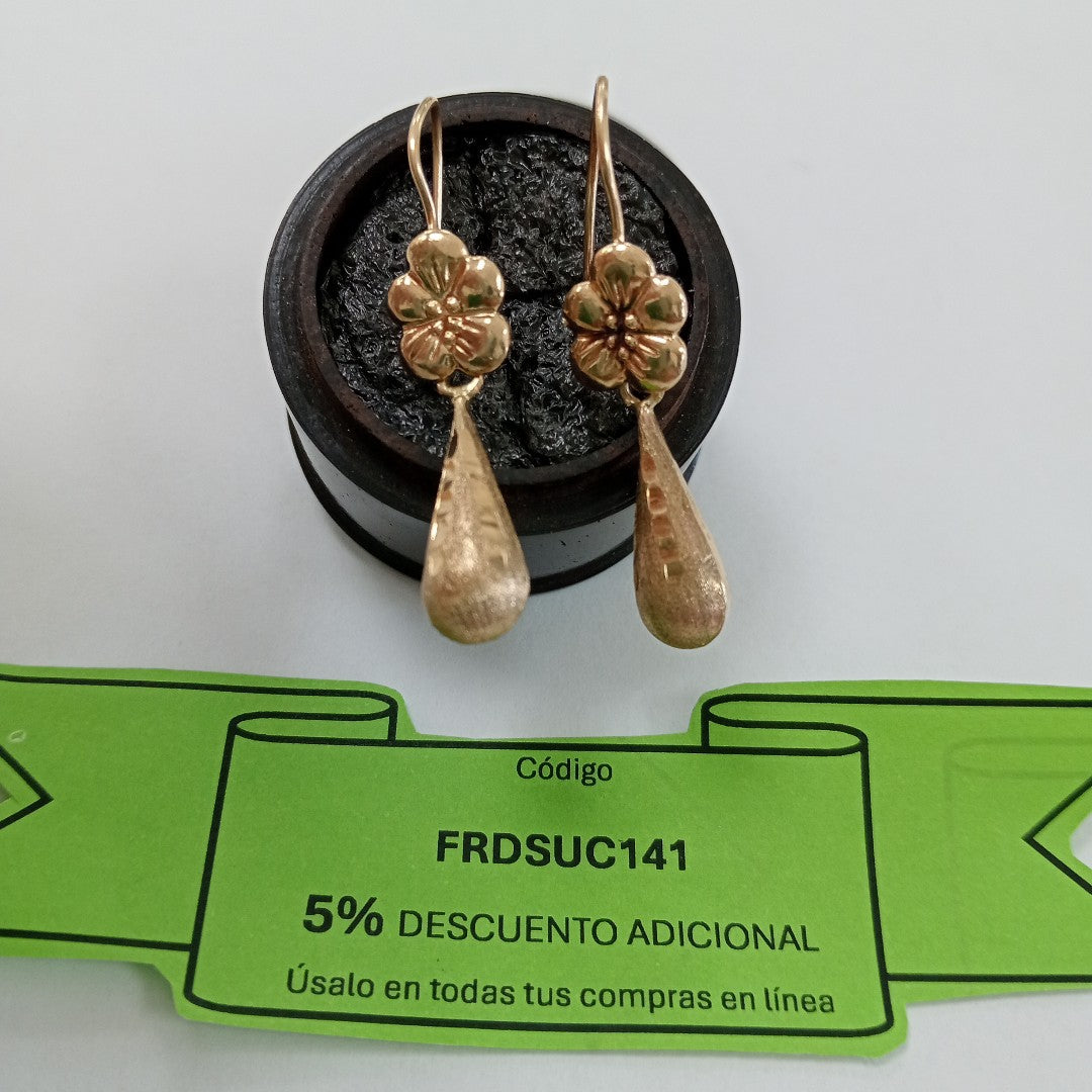 ARETES PAR ORO 10 K 2.3 GRMS (SEMINUEVO)
