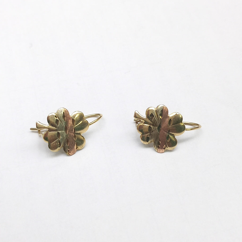 ARETES PAR ORO, ORO COMBINADO 10 K 1.1 GRMS (SEMINUEVO)