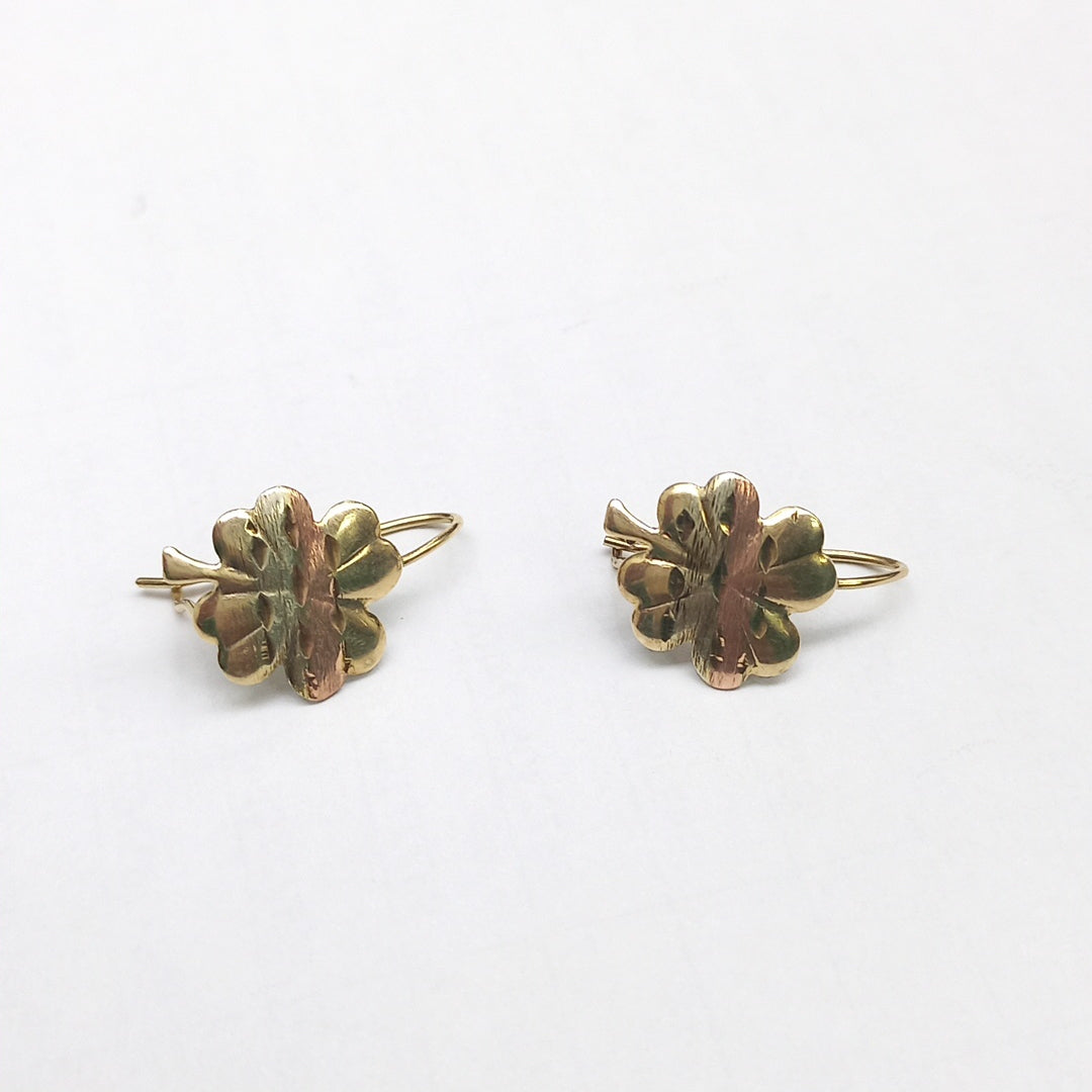 ARETES PAR ORO, ORO COMBINADO 10 K 1.1 GRMS (SEMINUEVO)