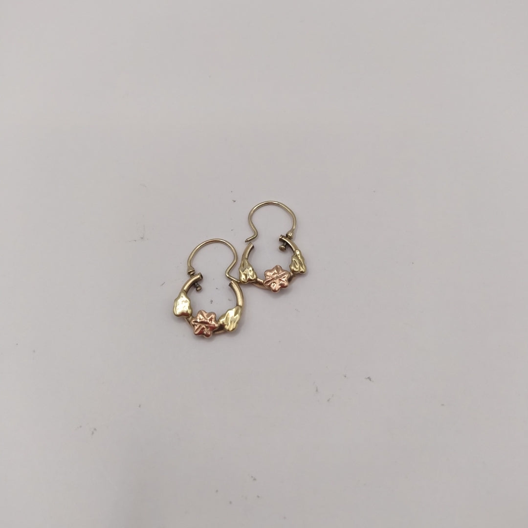 ARETES PAR ORO 10 K 1.7 GRMS (SEMINUEVO)