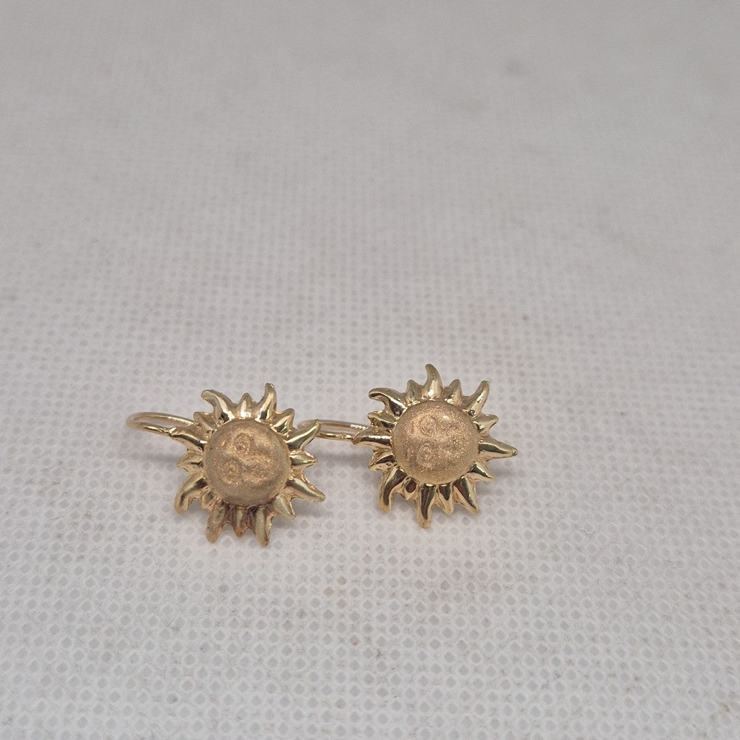 ARETES PAR ORO 10 K 1,00 GRMS (SEMINUEVO)