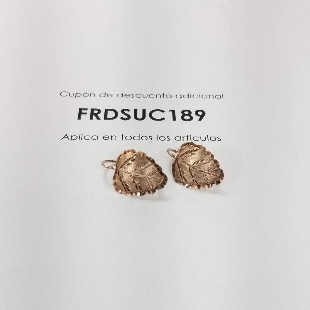 ARETES PAR ORO 10 K 2.1 GRMS (SEMINUEVO)