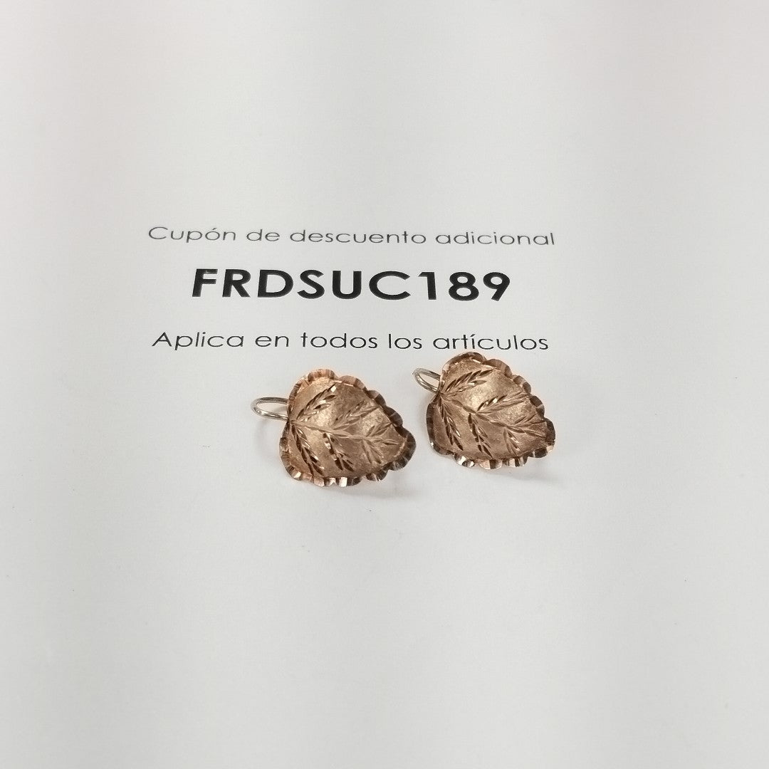 ARETES PAR ORO 10 K 2.1 GRMS (SEMINUEVO)