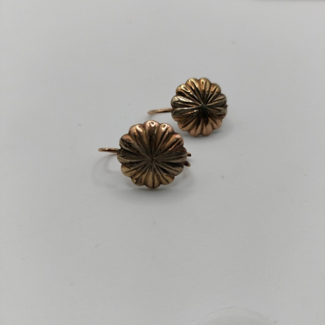 ARETES PAR ORO 10 K 1,80 GRMS (SEMINUEVO)