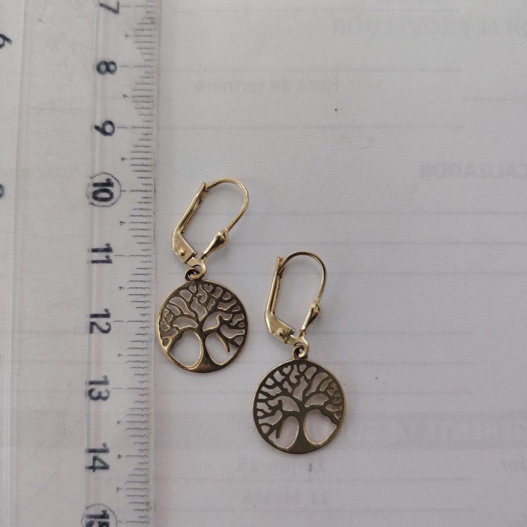 ARETES PAR ORO 10 K 1,90 GRMS (SEMINUEVO)
