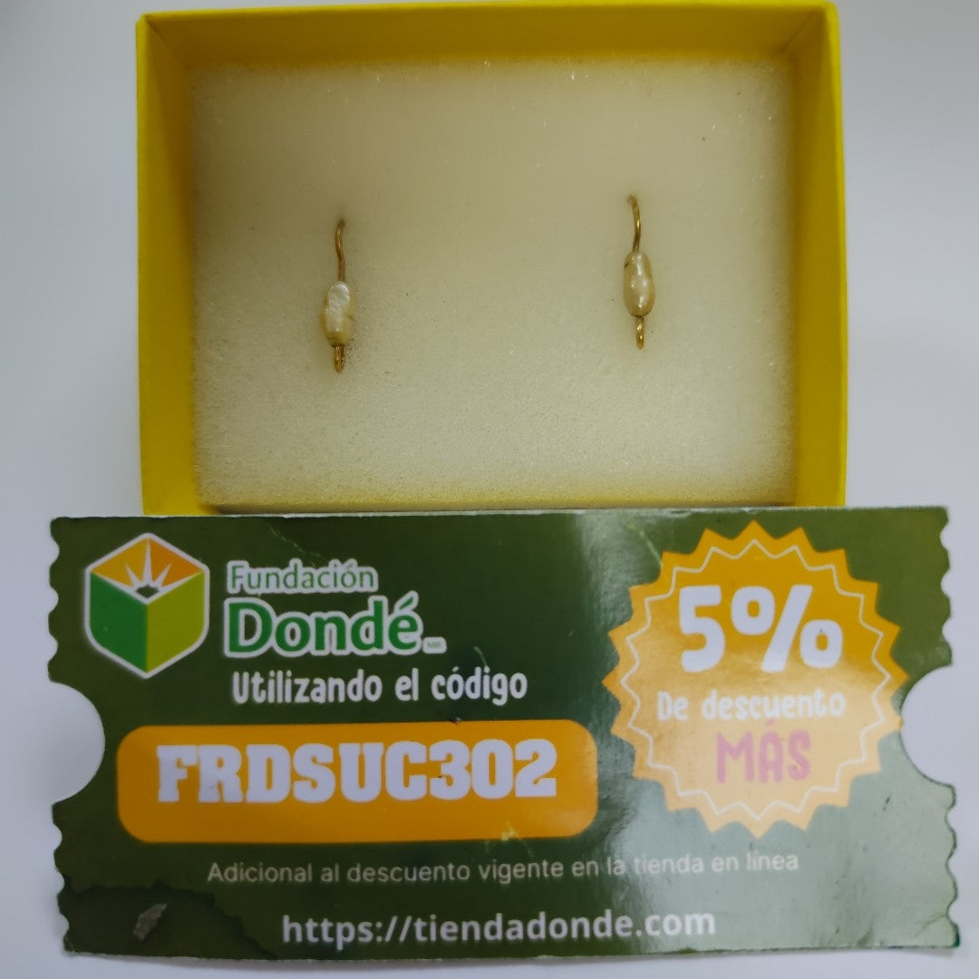 ARETES PAR ORO 10 K 1.1 GRMS (SEMINUEVO)