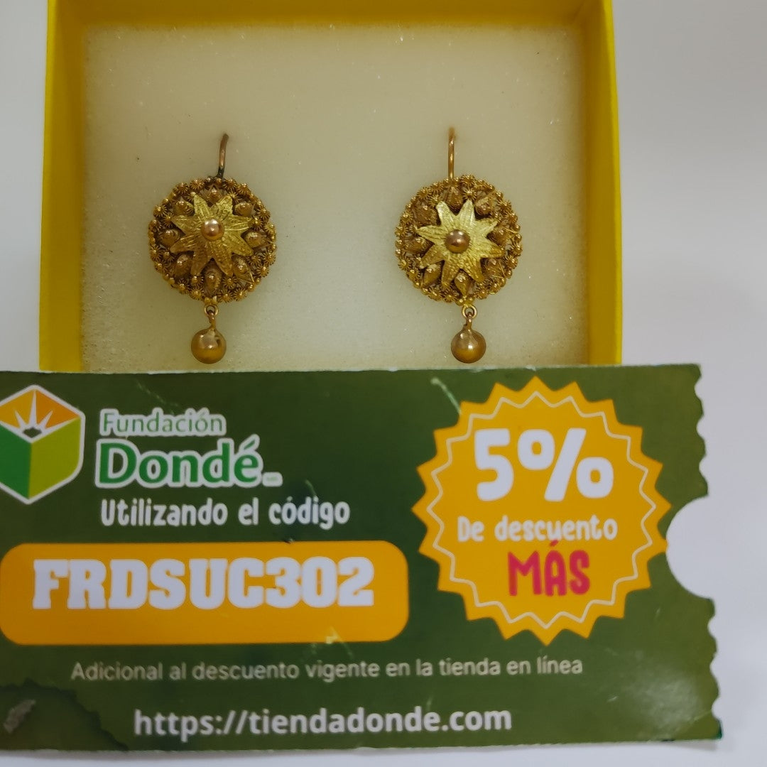 ARETES PAR ORO 10 K 6,90 GRMS (SEMINUEVO)