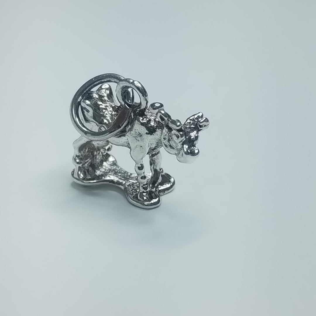 DIJE PLATA 4,80 GRMS (SEMINUEVO)