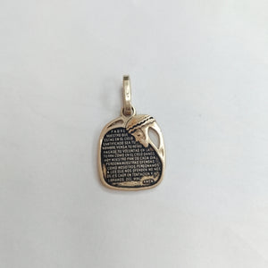 DIJE ORO 14 K 3,90 GRMS (SEMINUEVO)
