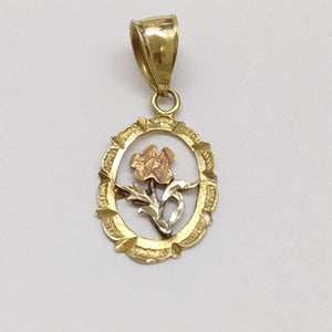 DIJE ORO COMBINADO 14 K 1 GRMS (SEMINUEVO)
