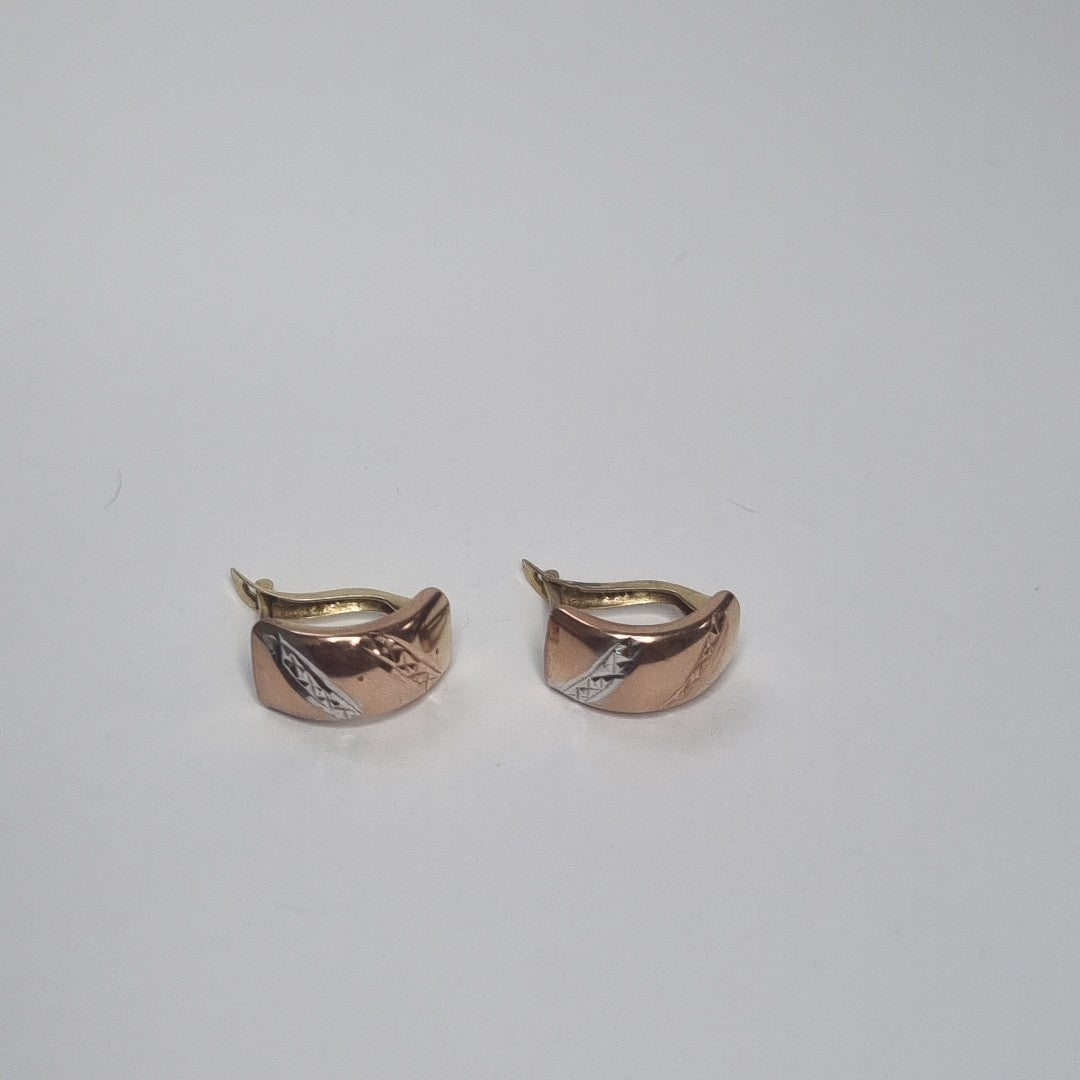 ARETES PAR ORO 10 K 1 GRMS (SEMINUEVO)