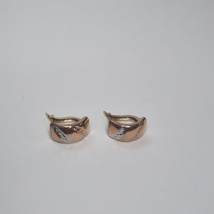 ARETES PAR ORO 10 K 1 GRMS (SEMINUEVO)