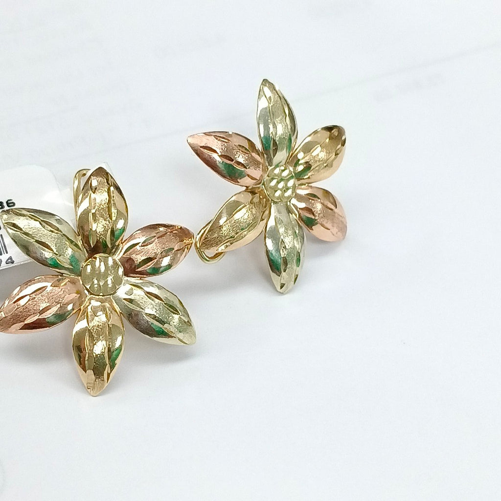 ARETES PAR ORO 8 K 3.7 GRMS (SEMINUEVO)