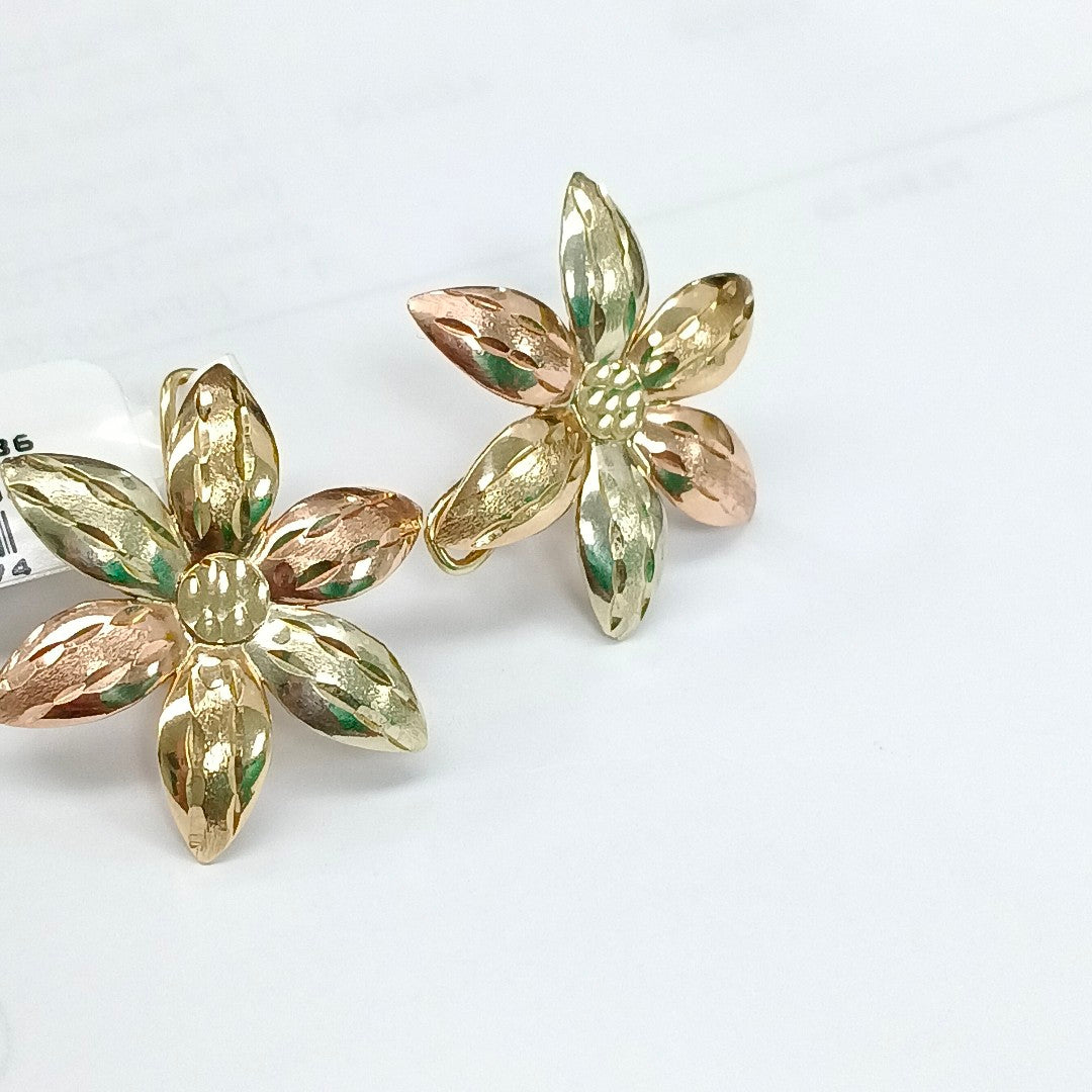 ARETES PAR ORO 8 K 3.7 GRMS (SEMINUEVO)