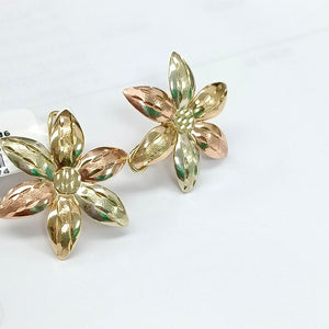 ARETES PAR ORO 8 K 3.7 GRMS (SEMINUEVO)