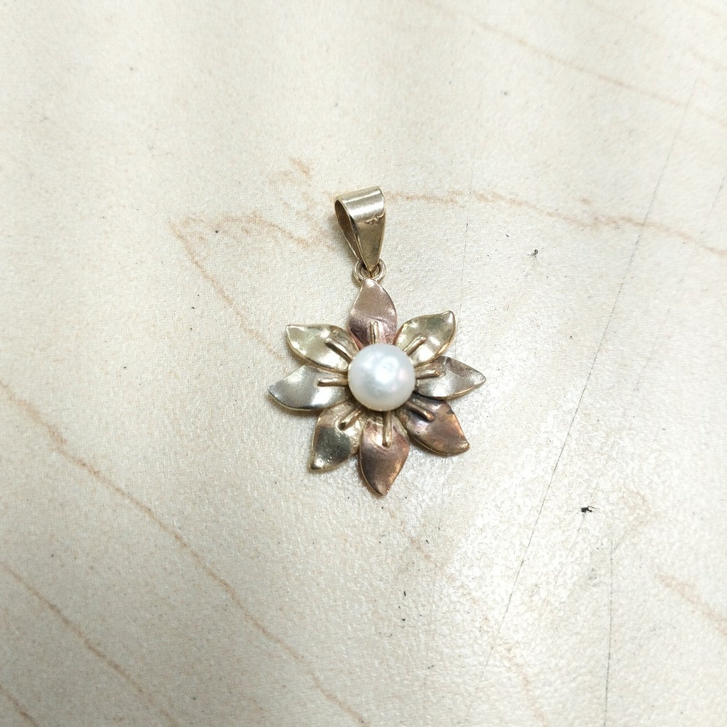 DIJE ORO COMBINADO 10 K 2,00 GRMS (SEMINUEVO)