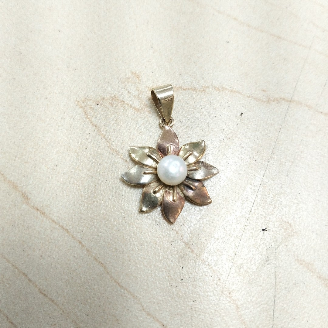 DIJE ORO COMBINADO 10 K 2,00 GRMS (SEMINUEVO)