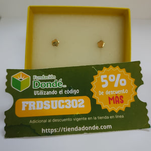 BROQUELES ORO 14K 1 (NUEVO)