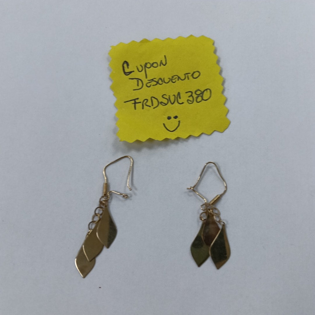 ARETES PAR ORO 10 K 2,00 GRMS (SEMINUEVO)
