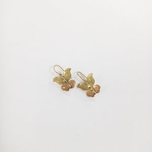 ARETES PAR ORO 10 K 1.6 GRMS (SEMINUEVO)