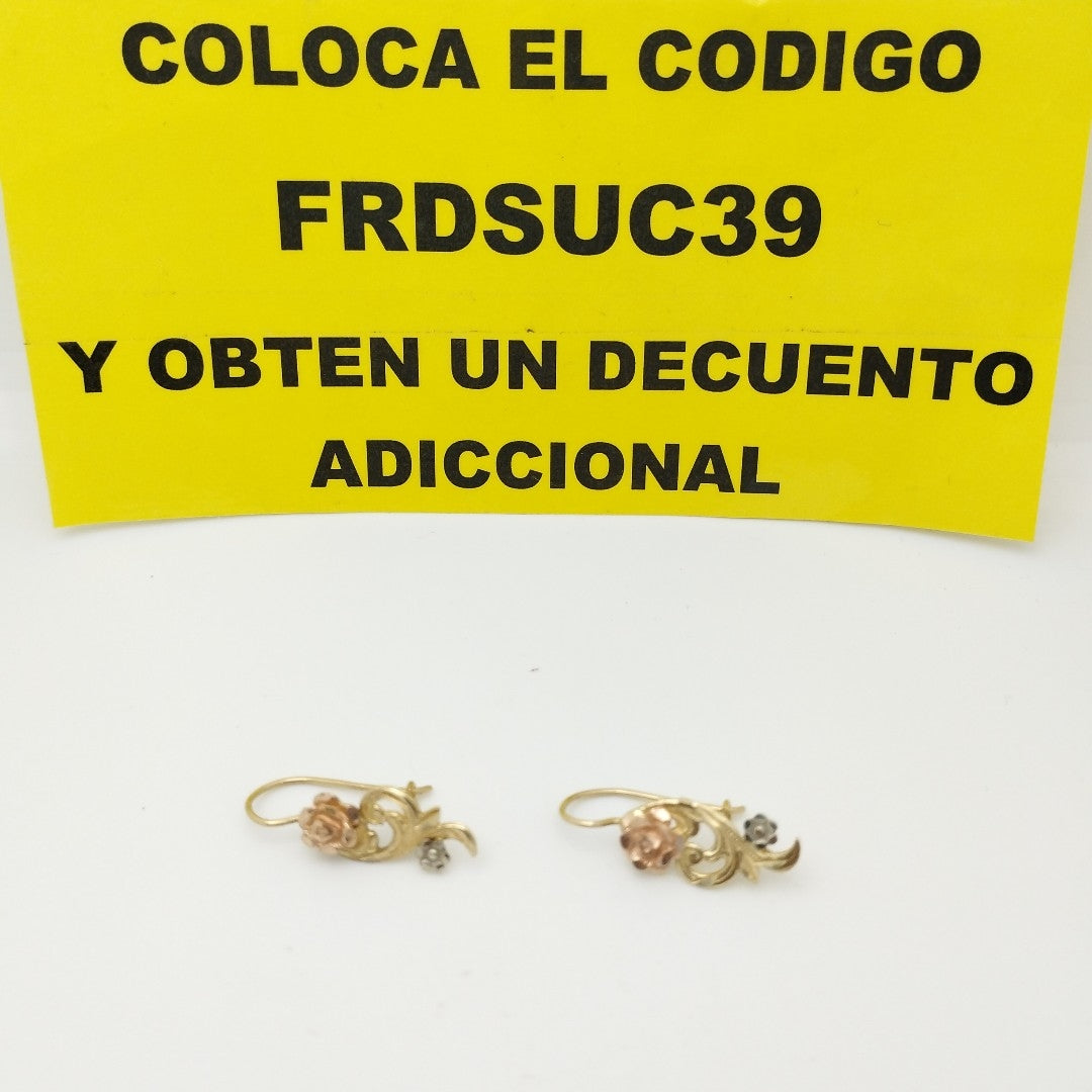 ARETES PAR ORO 14 K 2.8 GRMS (SEMINUEVO)