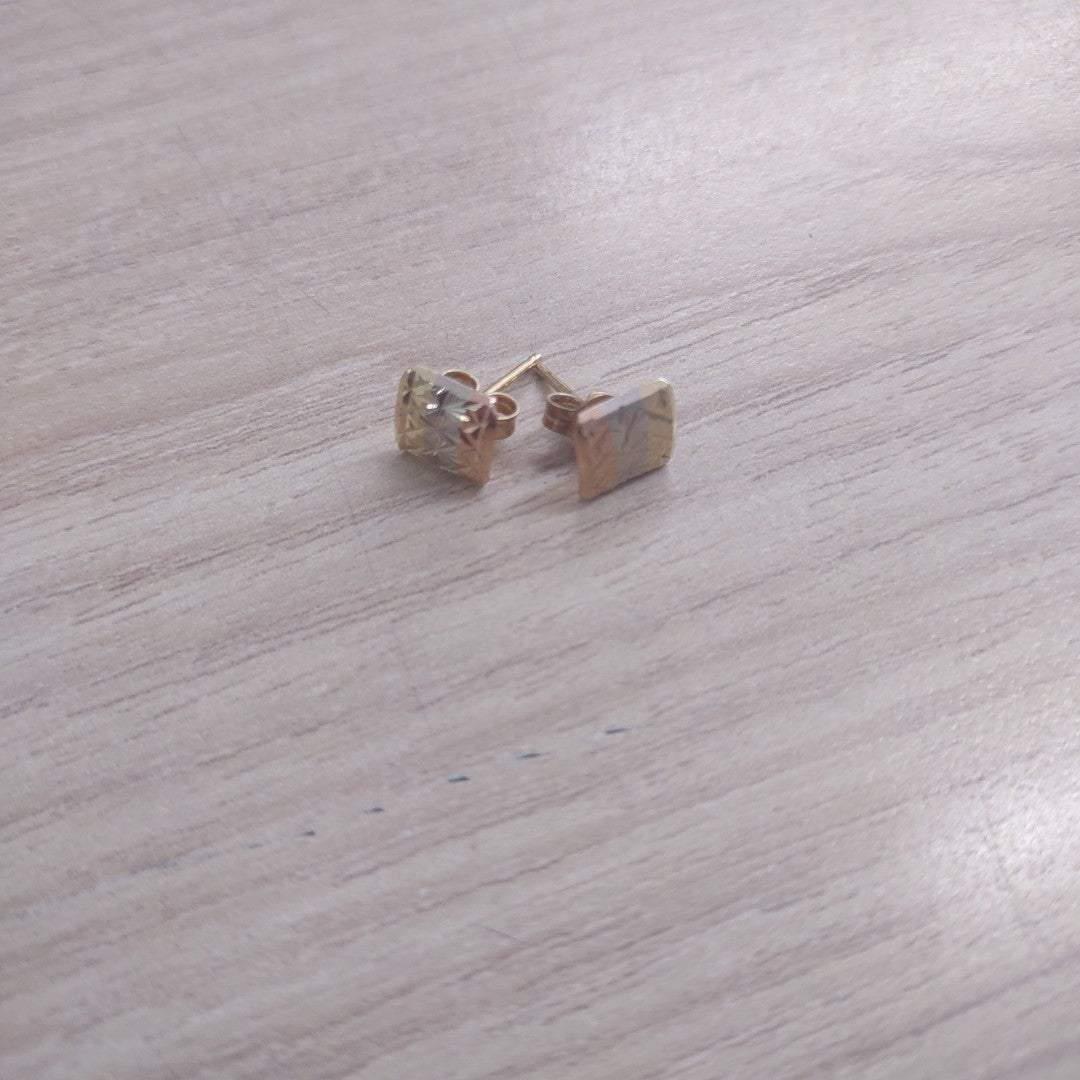 ARETES PAR ORO 10 K 1.9 GRMS (SEMINUEVO)