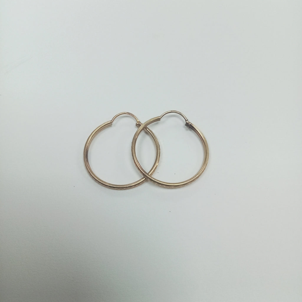 ARRACADAS PAR ORO 10 K 1,70 GRMS (SEMINUEVO)