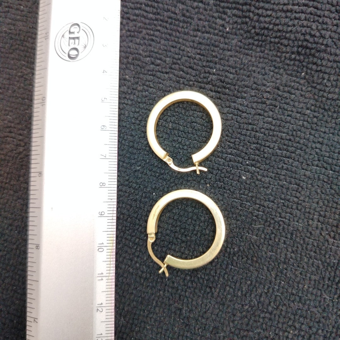 ARRACADAS PAR ORO 10 K 2.9 GRMS (SEMINUEVO)