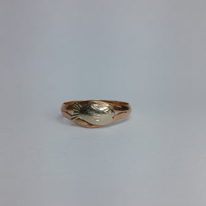 ANILLO ORO 8 K 2.9 GRMS (SEMINUEVO)