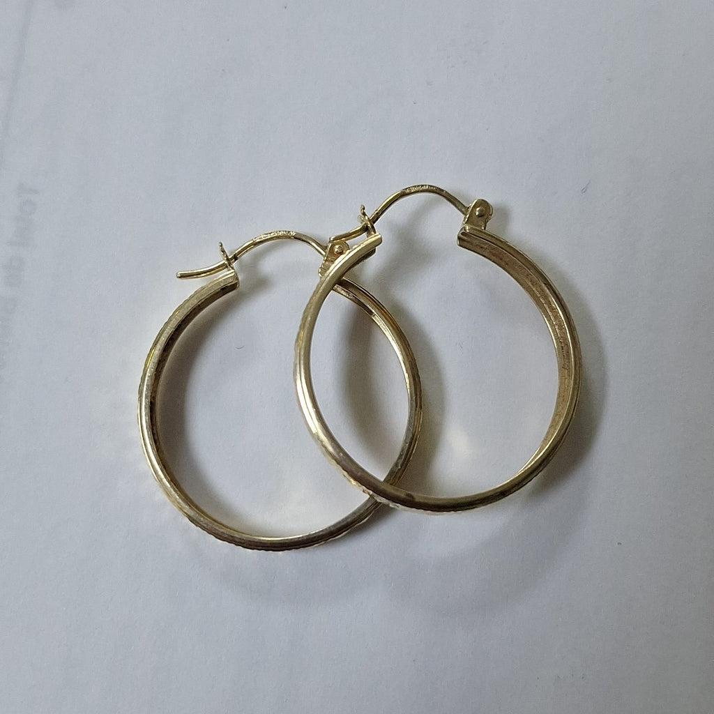 ARRACADAS PAR ORO 10 K 2,70 GRMS (SEMINUEVO)