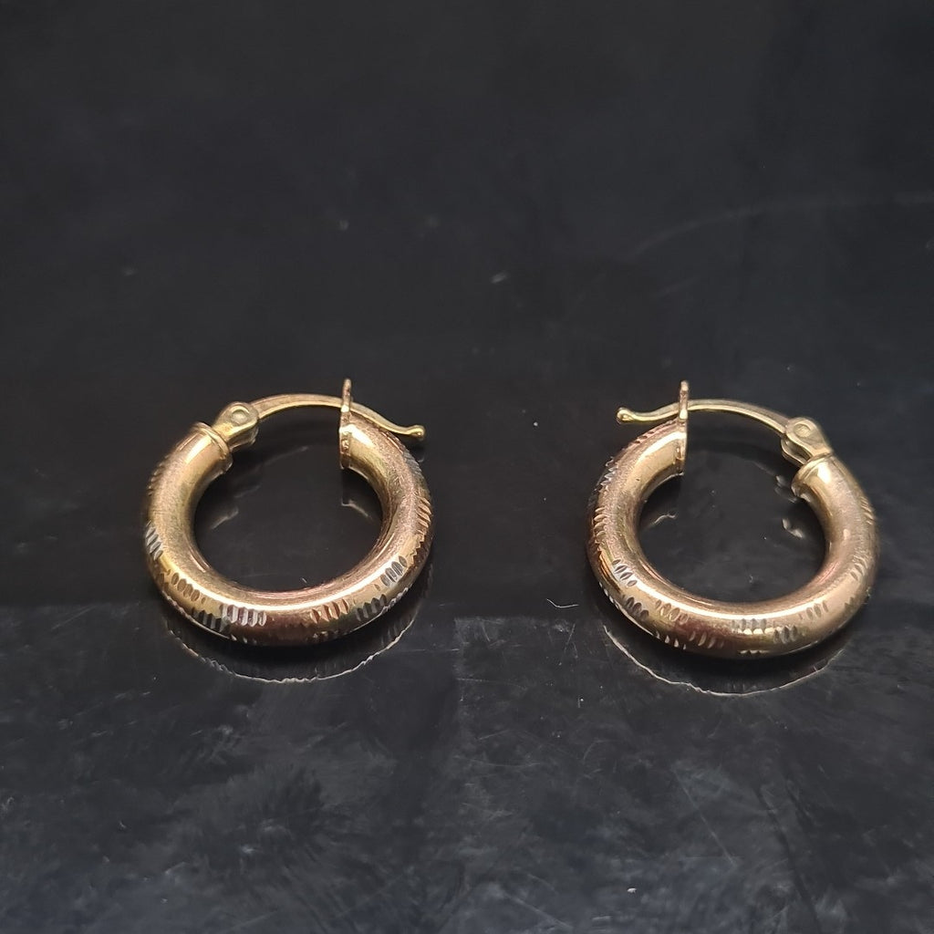 ARETES PAR ORO 10 K 2.7 GRMS (SEMINUEVO)